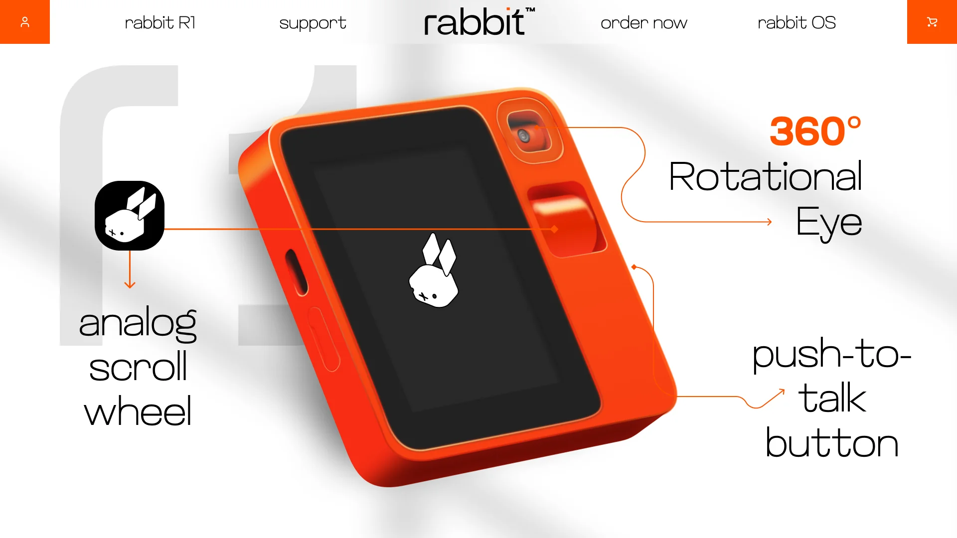 Rabbit — image 1