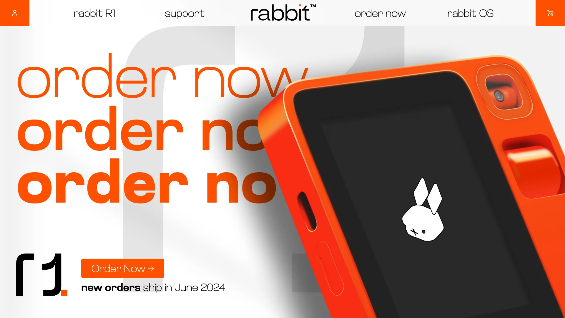 Rabbit — image 2