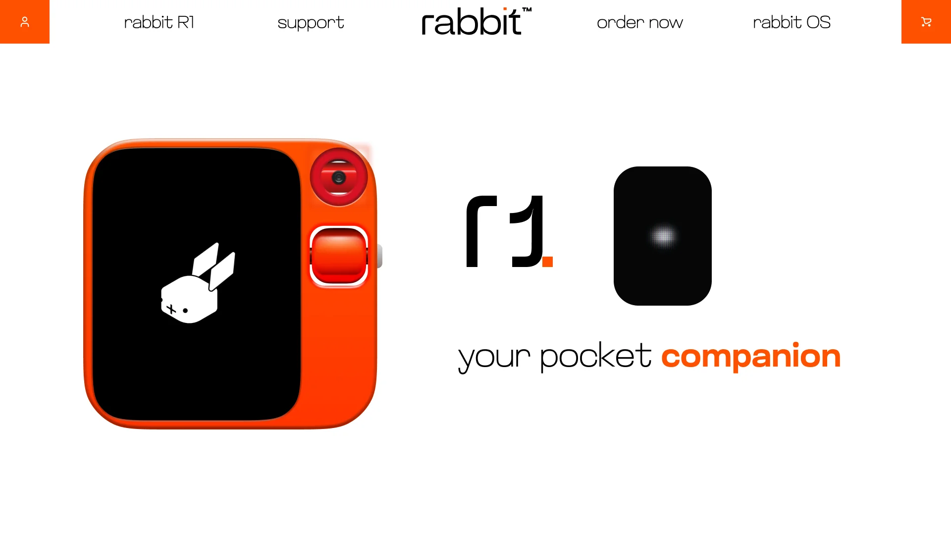 Rabbit — image 5